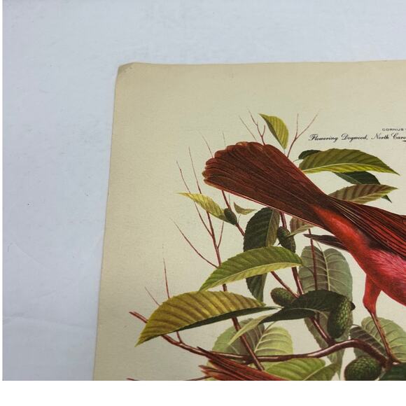 Vintage MCM Arthur Singer Series of Paintings American Home Magazine #'s 1,2,&6 - Picture 3 of 16